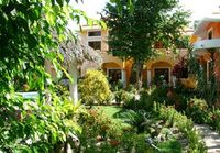 Garden of the Hotel SECRET GARDEN - Cabarete - Dominican Republic